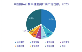 蓝象智联增速领跑第一阵营，稳居头部